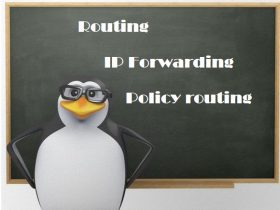 routing_ip_forwarding